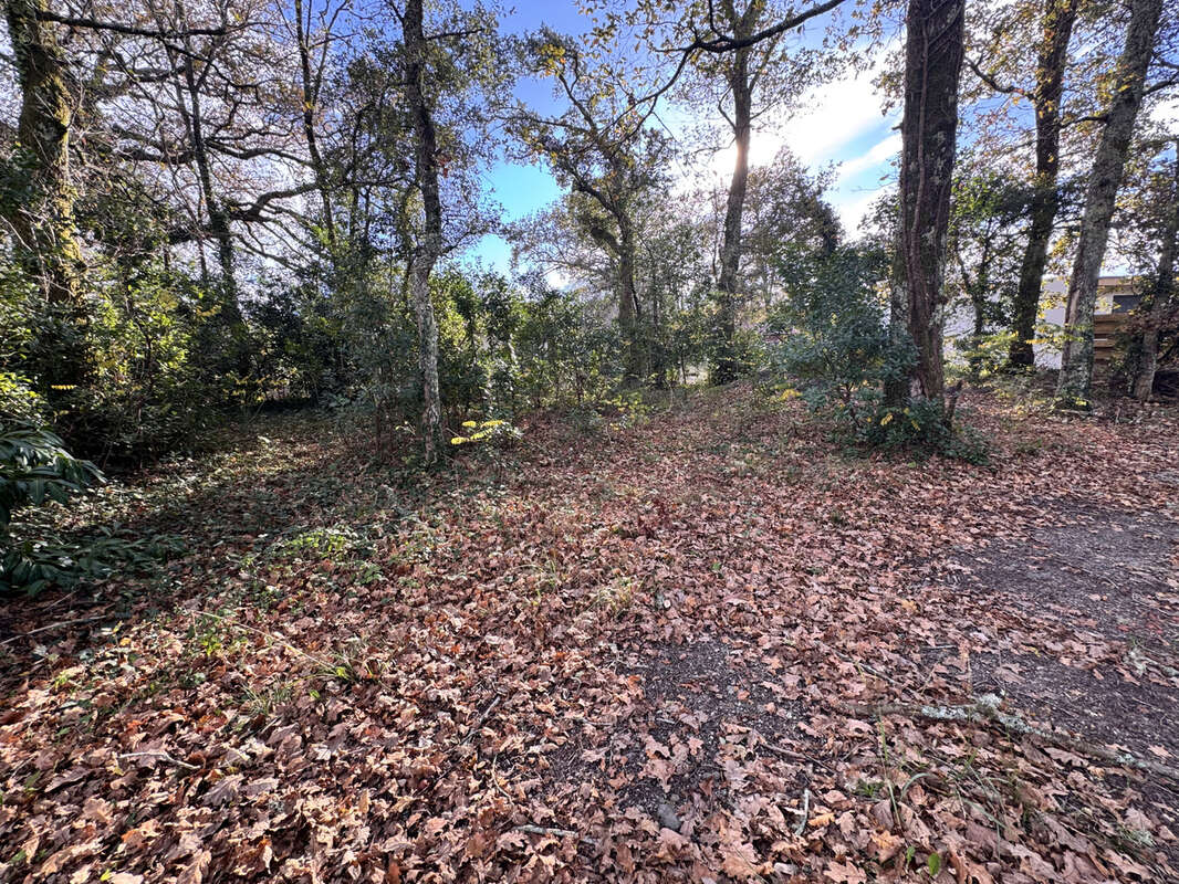 Terrain constructible 1513m2 - photo 2