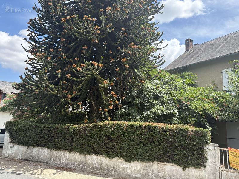Grande maison familiale proche du chateau - photo 29