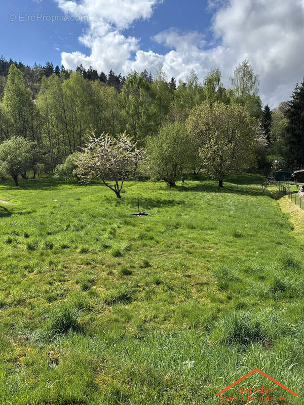 Terrain à POUXEUX
