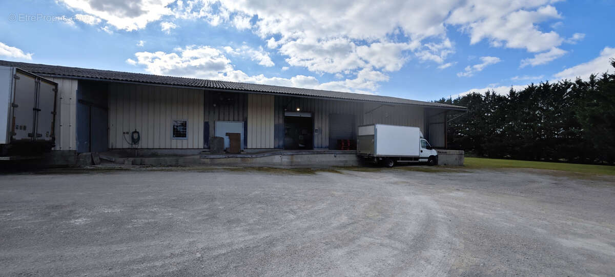 Commerce à LEZINNES