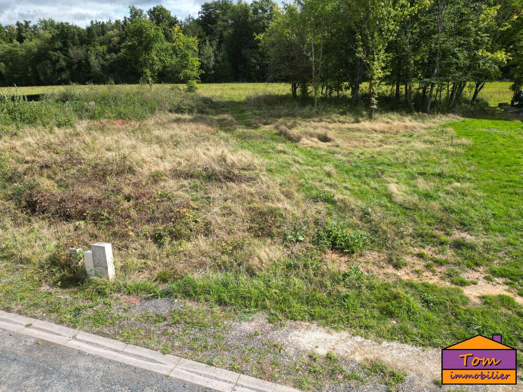 Terrain 1500 m² à Baccarat  - photo 4