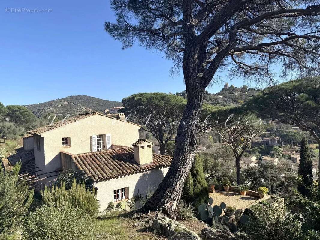 Maison à GRIMAUD