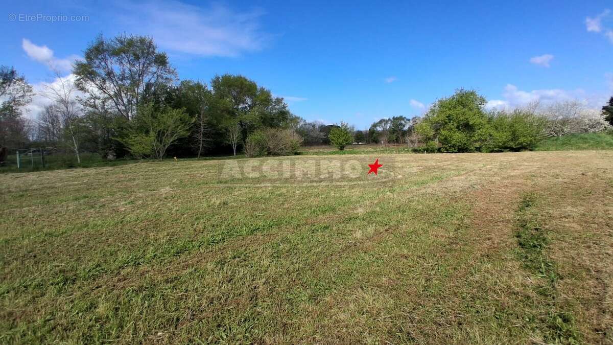 Terrain à LAVAUR
