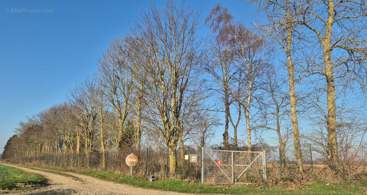Terrain à ALLONVILLE