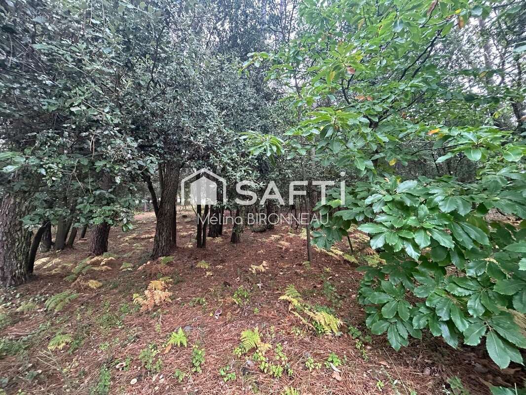 Photo 3 - Terrain à JARD-SUR-MER