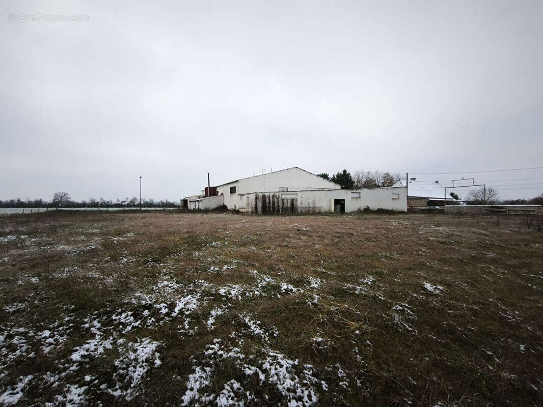 Commerce à LANGERON