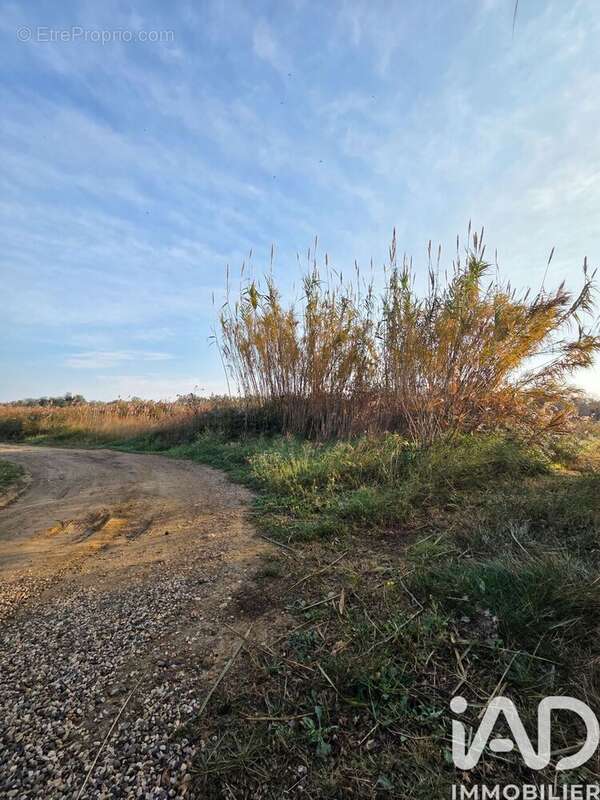 Photo 3 - Terrain à PIA