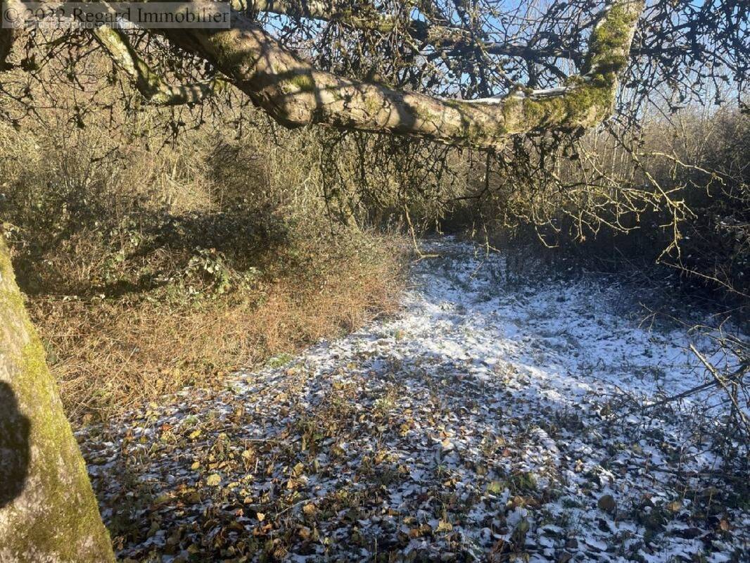 Terrain à GROSBLIEDERSTROFF