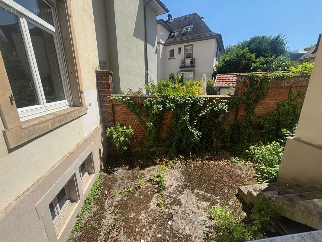 Commerce à STRASBOURG