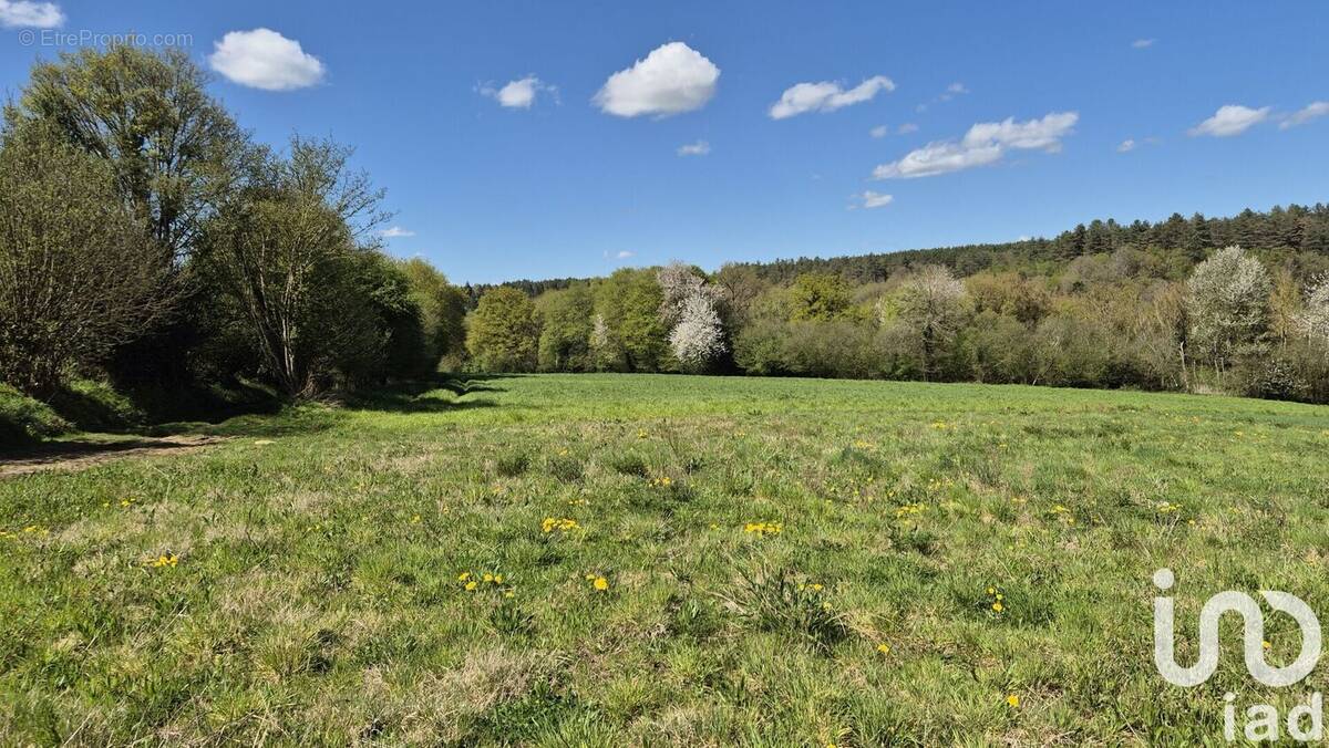 Photo 1 - Terrain à LA NEUVILLE-DU-BOSC