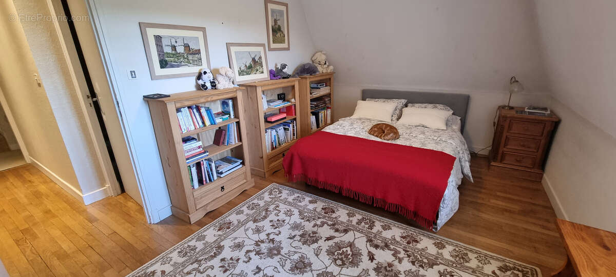 Nouveauté à la vente ! - photo 8