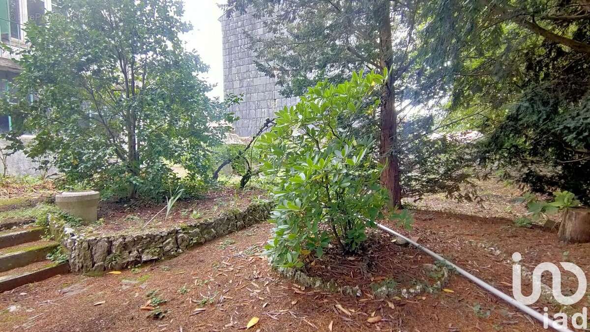 Photo 8 - Maison à LABASTIDE-ROUAIROUX