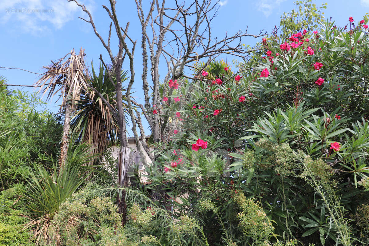 Maison à SALAISE-SUR-SANNE