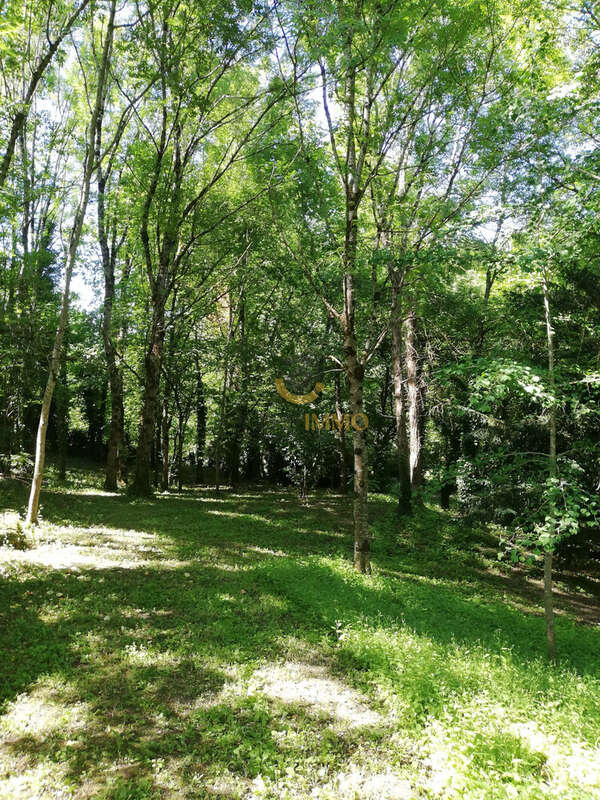 Maison à COULONGES-SUR-L&#039;AUTIZE