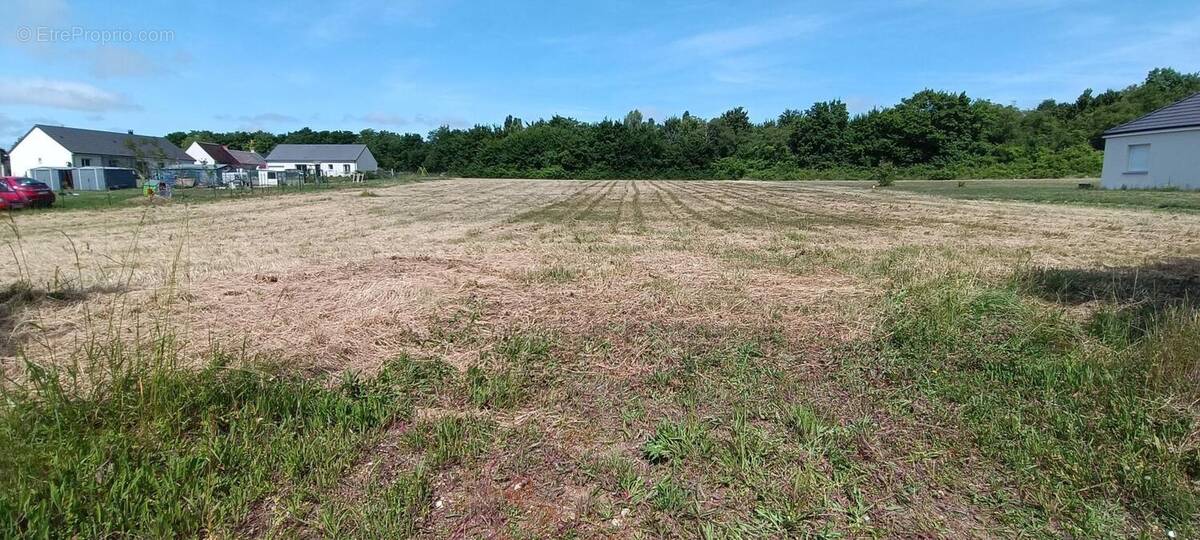 Photo 1 - Terrain à LES AIX-D'ANGILLON