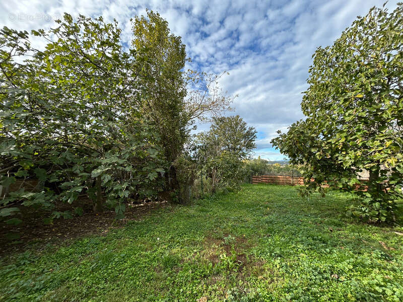 Maison à PIERRELATTE