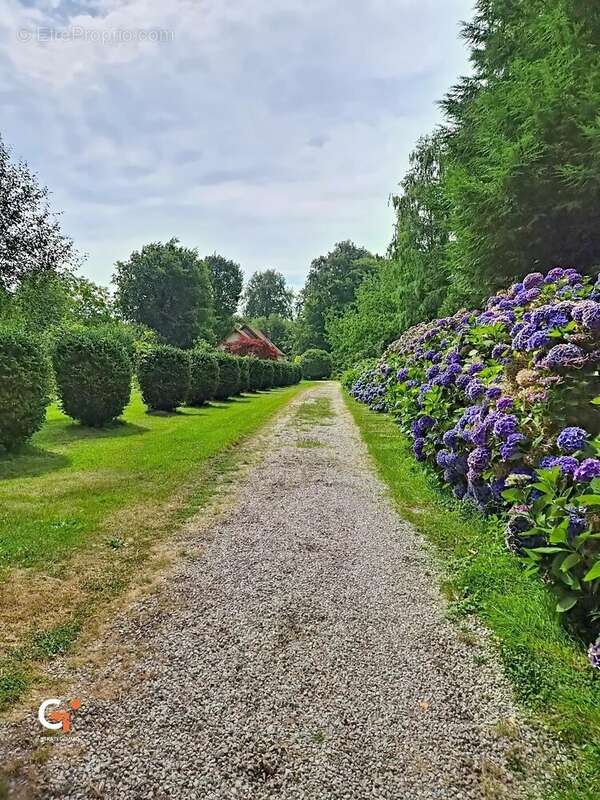 L’Histoire au pas de votre porte : Demeure de caractère de 157 m² dans son parc de 6 334 m² - photo 24