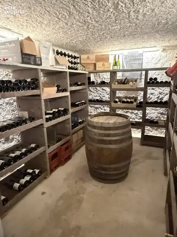 Vouvray  authentique longère rénovée avec piscine et gîtes - photo 14