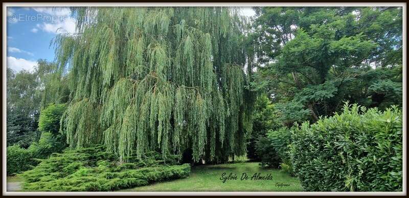 Maison à BAGE-LE-CHATEL