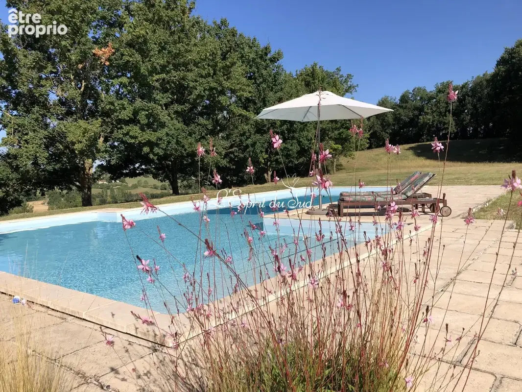 Maison 9 pièces 289 m² à vendre à Castelnau-De-Montmiral (81140) - photo 3