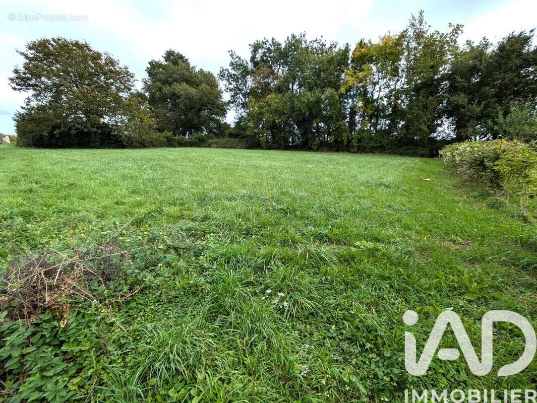 Photo 2 - Terrain à ECOYEUX