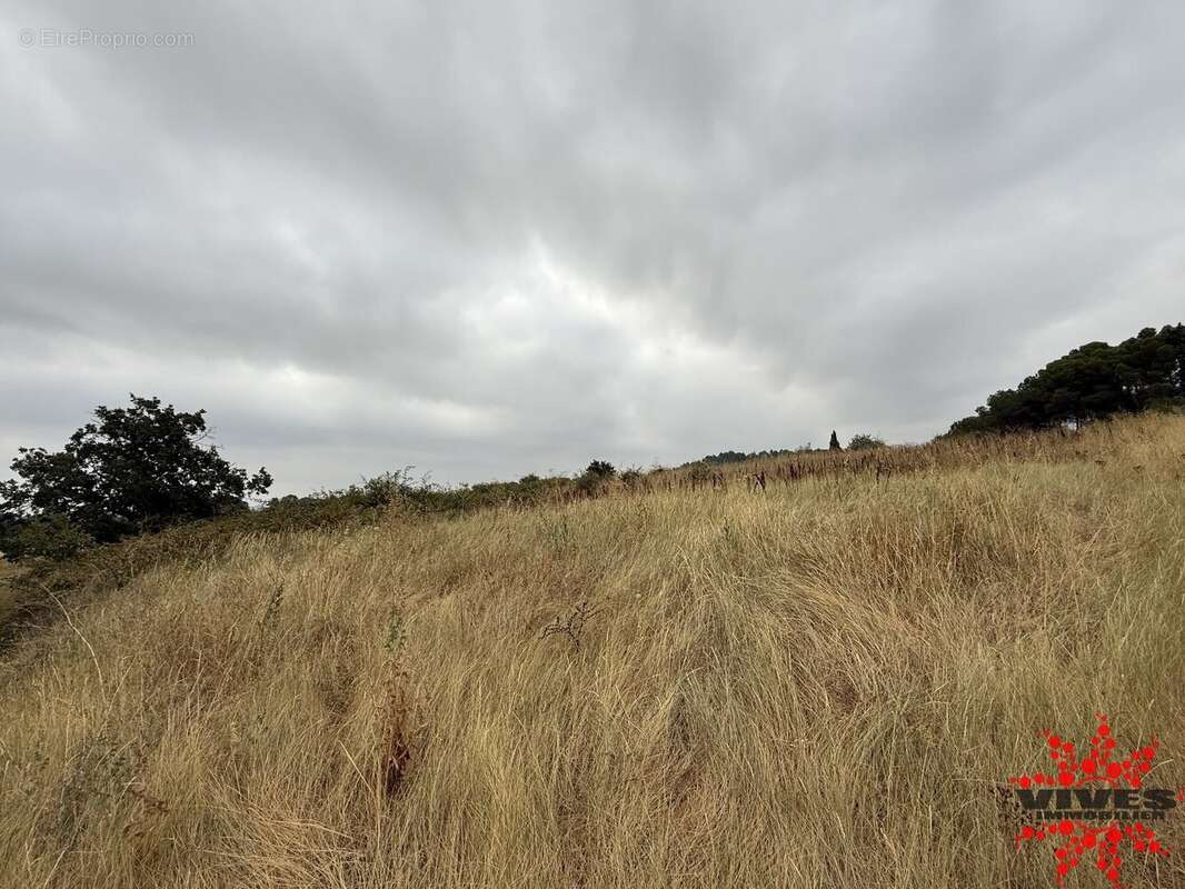 Terrain agricole ou de loisirs - photo 3