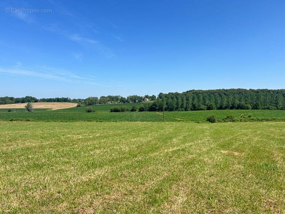 Photo Terrain à Evry-Gregy-Sur-Yerre au prix de 198 500€