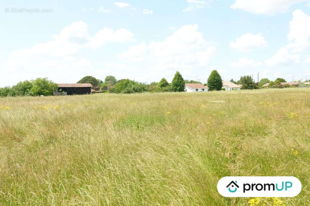 Terrain à SAINTE-LIVRADE-SUR-LOT