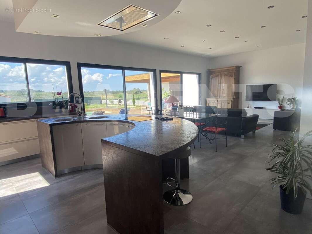 IMG_8539 - Maison à PEYRIAC-MINERVOIS