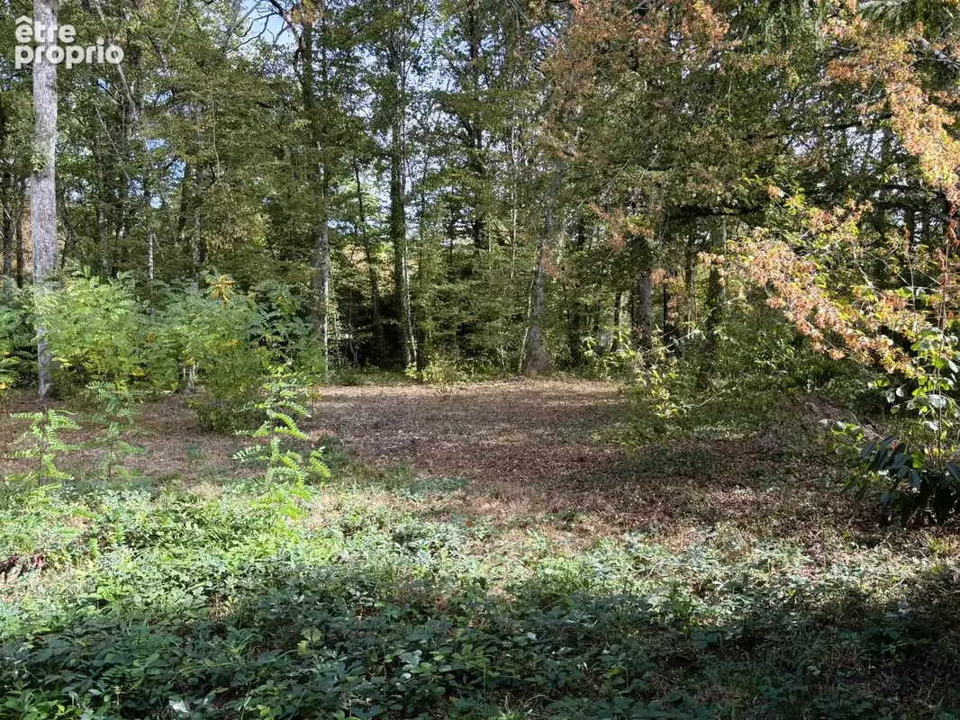 Maison 3 pièces 58 m² à vendre à Chuelles (45220) - photo 14