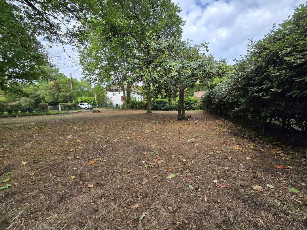 Terrain à MESSANGES