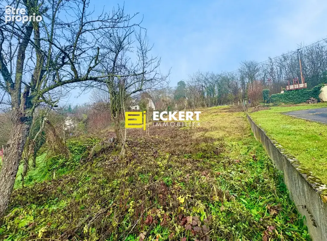 Terrain 667 m² à vendre à Dinsheim-Sur-Bruche (67190) - photo 3