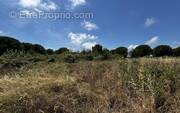 Terrain à MARSEILLAN