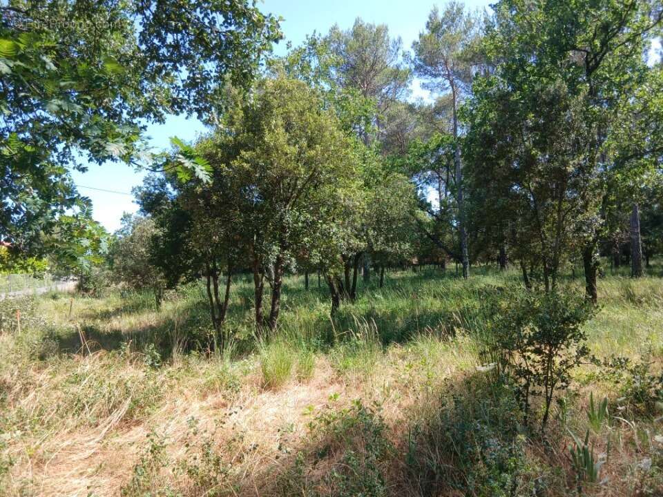 Terrain 705 m² à Gareoult  - photo 4