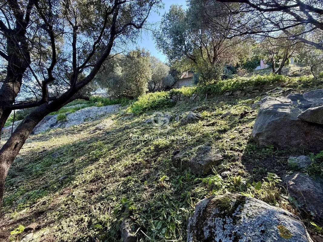 Terrain à MONTICELLO