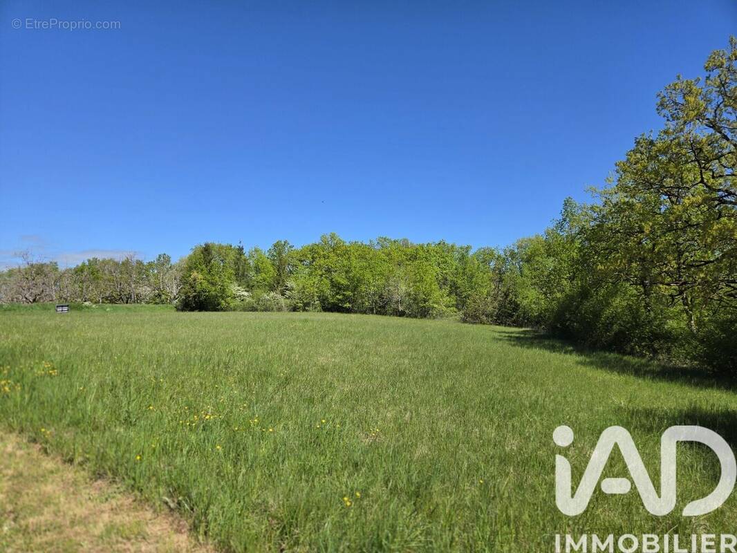 Photo 1 - Terrain à BETAILLE