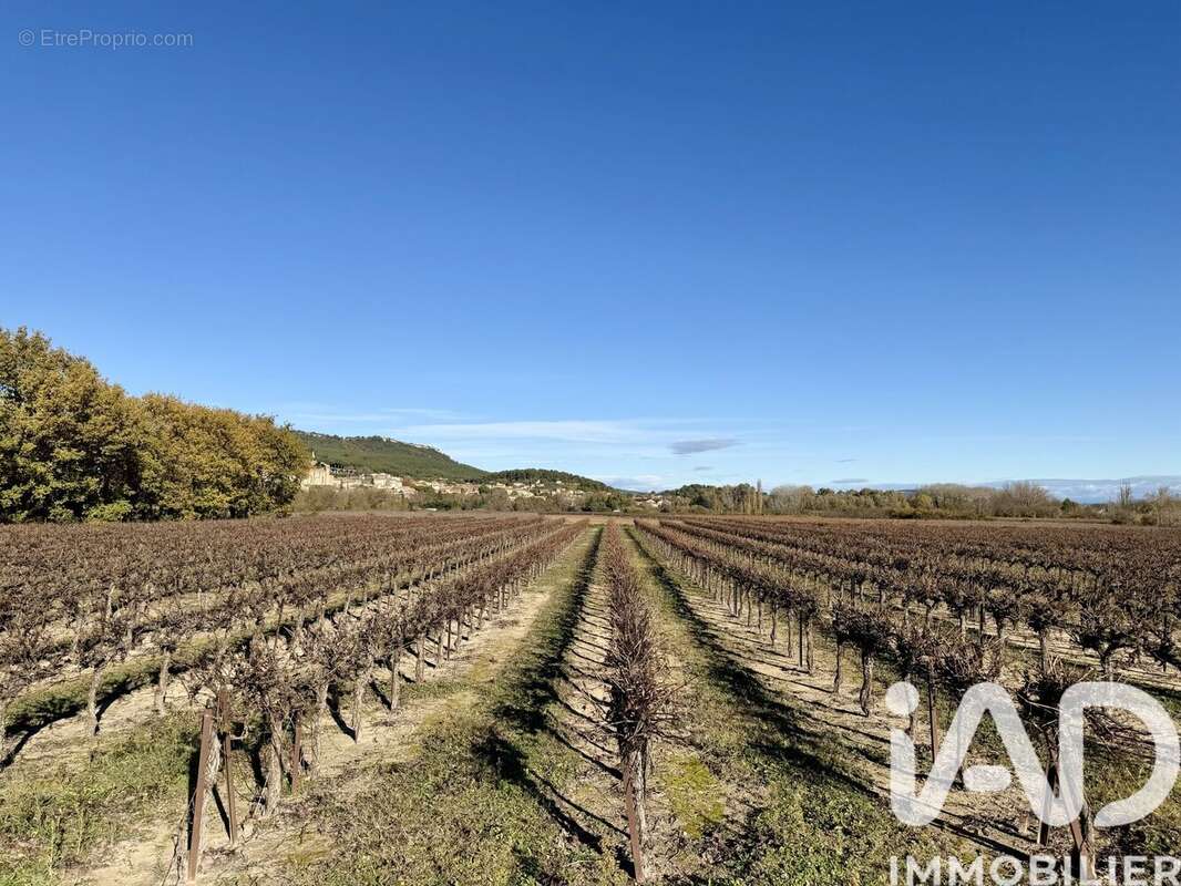 Photo 4 - Terrain à LAUDUN-L'ARDOISE
