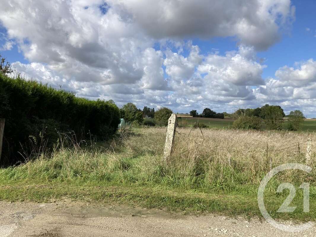 Terrain à VIEUX-CHAMPAGNE