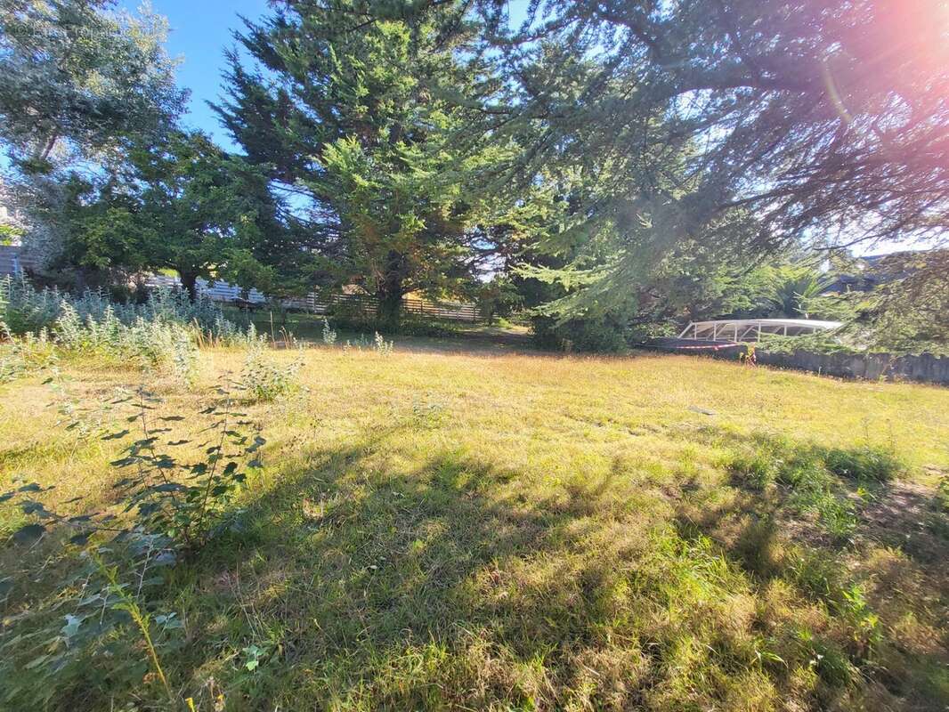 Terrain constructible à vendre  CAMARET SUR MER (29) - photo 5