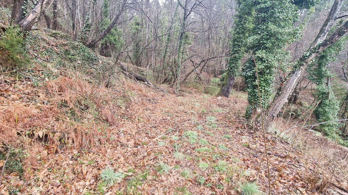 Terrain à vendre  LE COLLET DE DEZE (48) - photo 9