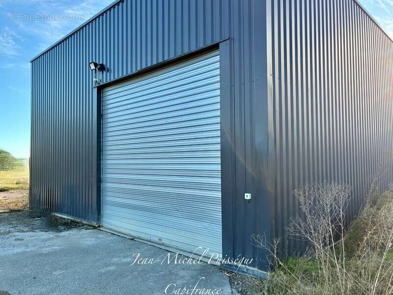 Commerce à MONTREJEAU