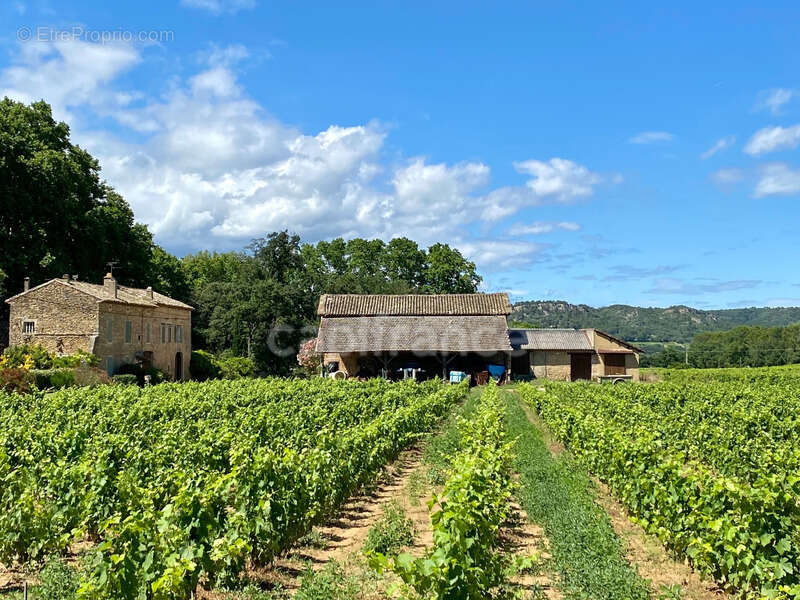 Dpt Gard (30), à vendre dans le Gard, propriété viticole en AOP Côtes du Rhône sur 25 hectares avec Château du XVème siècle - photo 8