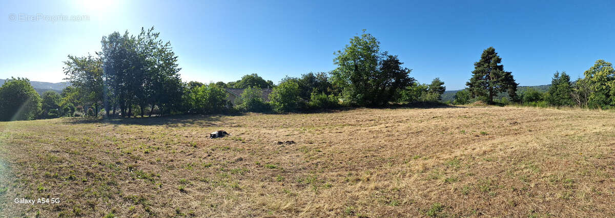 Terrain à SAINT-APOLLINAIRE-DE-RIAS