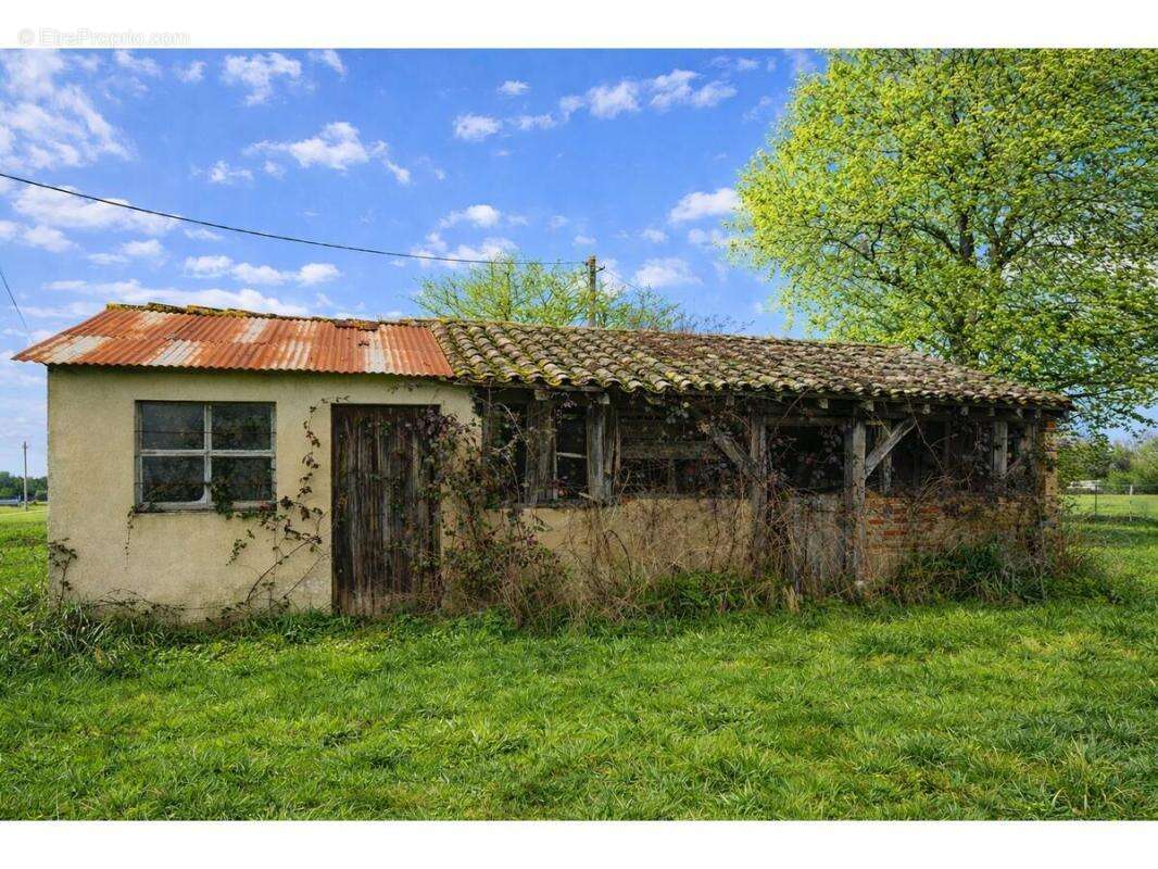 Maison 67 m² à Montpon-Menesterol  - photo 18