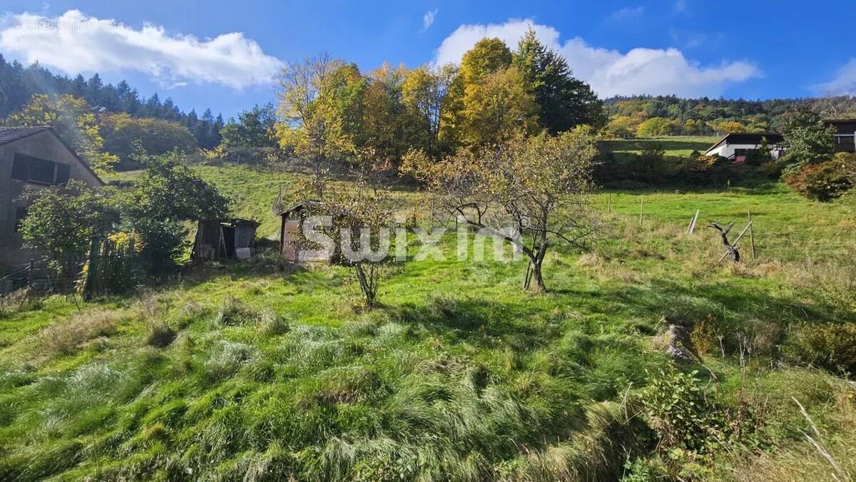 Terrain à RIBEAUVILLE