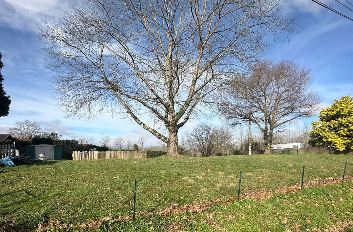 Maison à PONTONX-SUR-L&#039;ADOUR