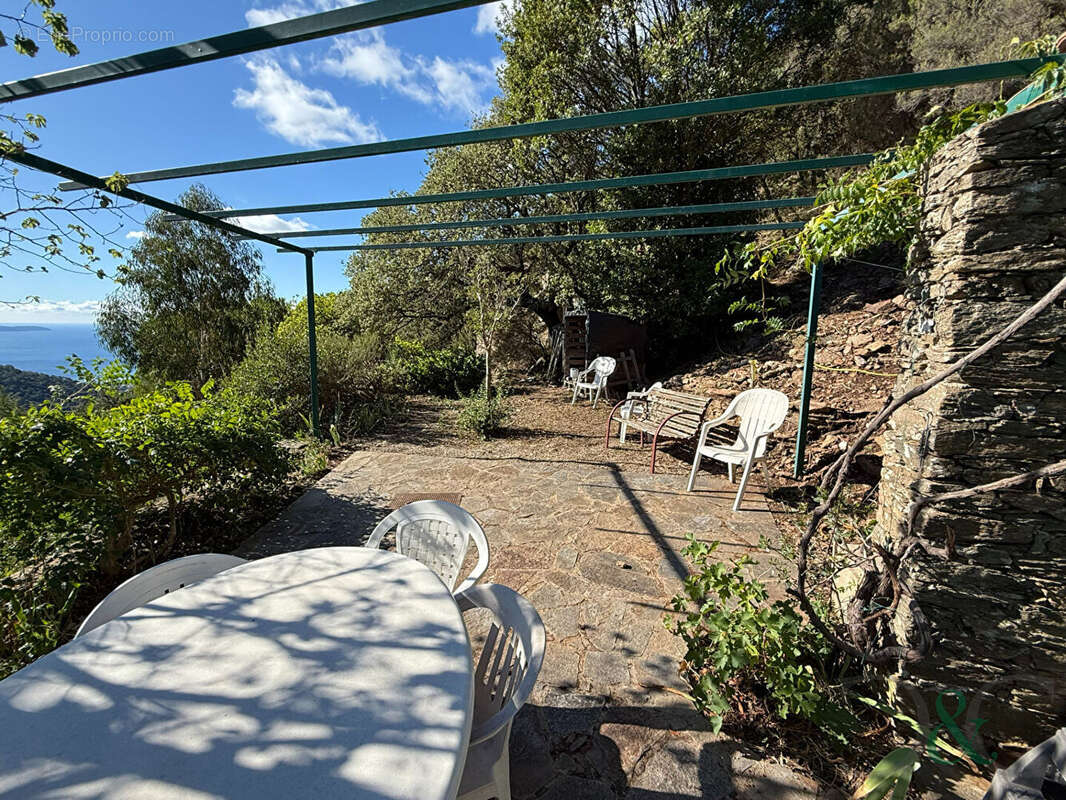 Maison à BORMES-LES-MIMOSAS