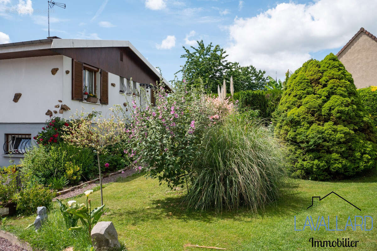 Maison à DAOURS