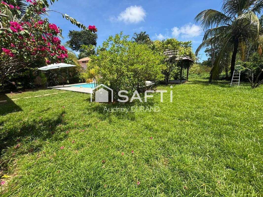 Photo 2 - Maison à CAYENNE