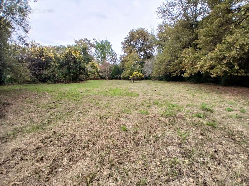 Terrain à CREON